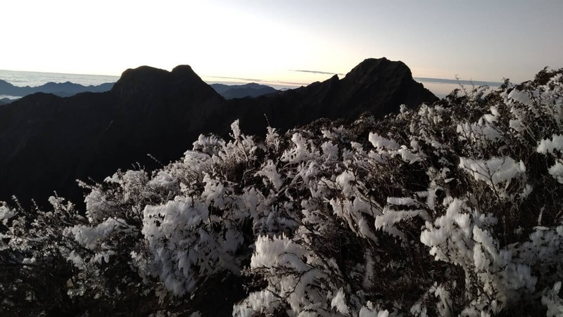 大陸冷氣團發威，中央氣象署指出，玉山氣象站15日上午出現霜淞現象。（中央氣象署提供）中央社記者張雄風傳真 113年12月15日