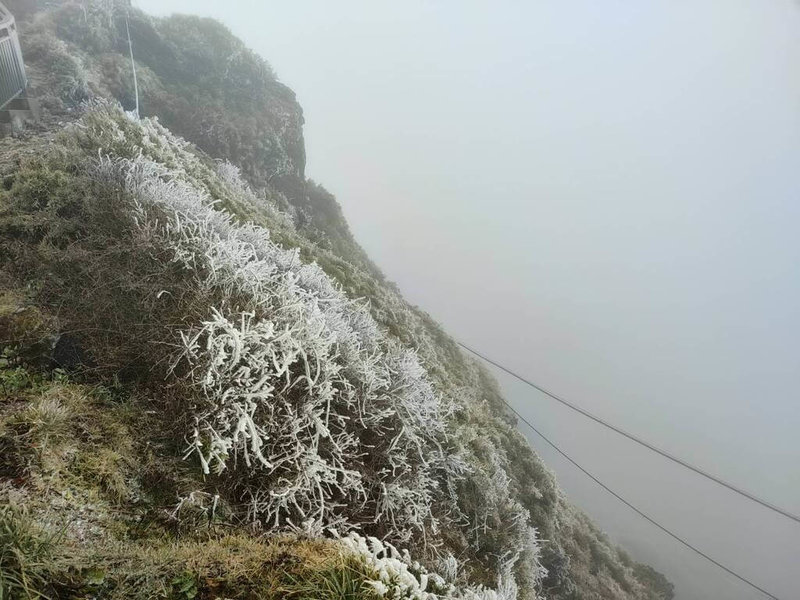 大陸冷氣團持續影響，海拔3000公尺以上的合歡山區，氣溫降至攝氏0度左右，因水氣偏多，出現霧淞現象。（太魯閣國家公園管理處提供）中央社記者李先鳳傳真  113年12月23日