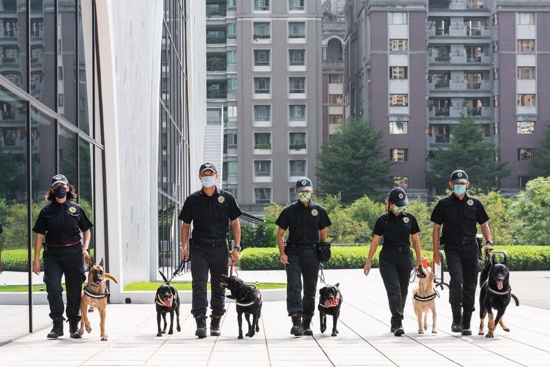 台中市警局警犬隊平時辛苦訓練,出勤則要面對高壓環境。(警方提供)中央社記者郝雪卿傳真 113年12月24日
