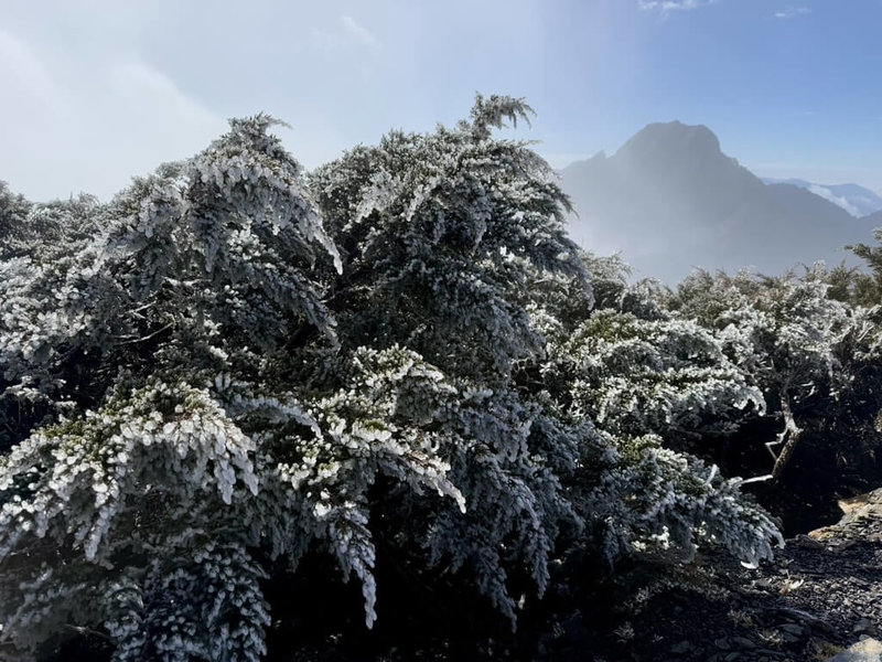 強烈大陸冷氣團影響，中央氣象署觀測，28日清晨5時左右，玉山氣溫降到攝氏零下1.6度，玉山雖未降雪，但北峰出現霧淞。（氣象署提供）中央社記者汪淑芬傳真 113年12月28日