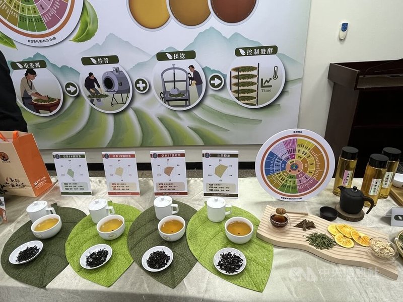 農業部茶及飲料作物改良場30日舉辦「研發『臺灣橙茶』為百年茶產業注入新生命」記者會,發布費時4年研發完成的新製程「臺灣橙茶」,不論是大或小葉種,都能製成品質優異的茶品。中央社記者楊淑閔攝 113年12月30日