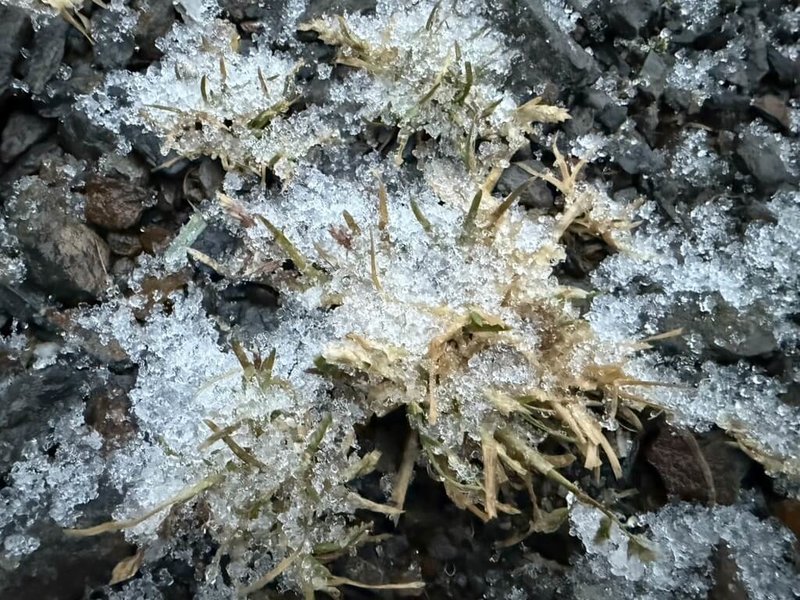 中央氣象署2日表示,玉山氣象站清晨6時40分降雨夾冰霰。(氣象署提供)中央社記者張雄風傳真 114年1月2日