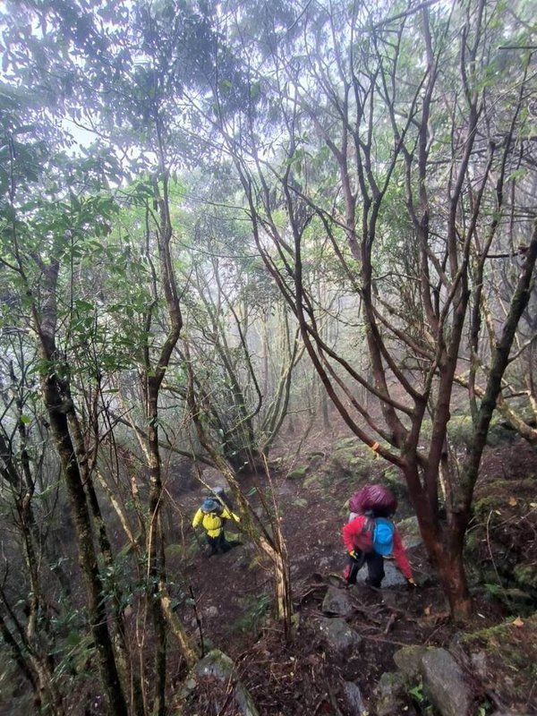 8人登山團體攀登南一段，51歲黃姓女子高山症發作，團員留下一頂帳篷後，繼續往前走，黃女獨留在卑南山主峰2天待援；高雄和台東兩地消防人員同步上山救援，預計3日下午可以抵達通報地點。（台東縣消防局提供）中央社記者盧太城台東傳真  114年1月3日