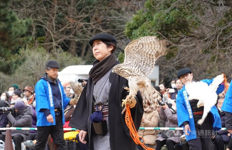 位於日本東京汐留的濱離宮恩賜庭園曾是德川將軍家的御鷹場，現在每逢新年會實施放鷹術（馴鷹術）表演。3日由諏訪流放鷹術保存會的成員實施放鷹術表演，吸引許多遊客觀賞。中央社記者楊明珠東京攝 114年1月5日