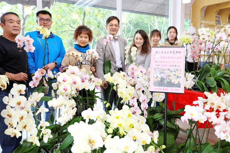 嘉義大學農學院園藝技藝中心響應學生安心就學獎助學金募款，8日無償捐出200株蝴蝶蘭，以嘉大員生消費合作社作為認捐平台，希望匯聚愛心，支持經濟弱勢學生專心向學。（嘉義大學提供）中央社記者黃國芳傳真  114年1月8日