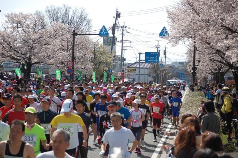 華航高雄飛往日本熊本航線預計2月3日復航，可望帶動當地觀光，3月舉辦的熊本菊池市櫻花馬拉松也預計將吸引不少民眾參加。圖為往年櫻花馬拉松人潮。（熊本菊池市提供）中央社記者余曉涵傳真  114年1月12日