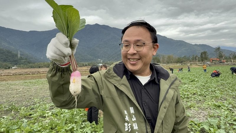 台東農曆春節前大型活動拔蘿蔔，關山鎮公所舉辦的與往年一樣，所有民眾都可參加，關山鎮長彭成豐（圖）14日先行體驗，並邀請民眾18日來參與活動。（民眾提供）中央社記者盧太城台東傳真  114年1月14日