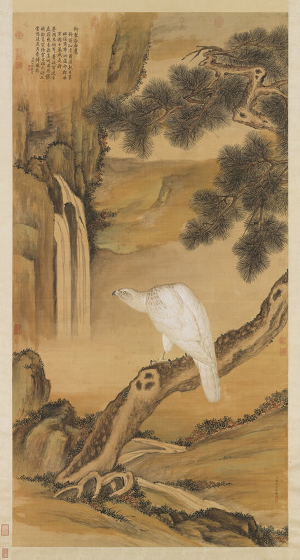 「群生藝相:書畫中的動物形象與意涵」特展即日起至4月13日於故宮南院展出,展件清郎世寧的「白鷹」中所繪白鷹目光銳利,蓄勢待發,形象逼真,值得細細品味。(故宮南院提供)中央社記者蔡智明傳真 114年1月14日