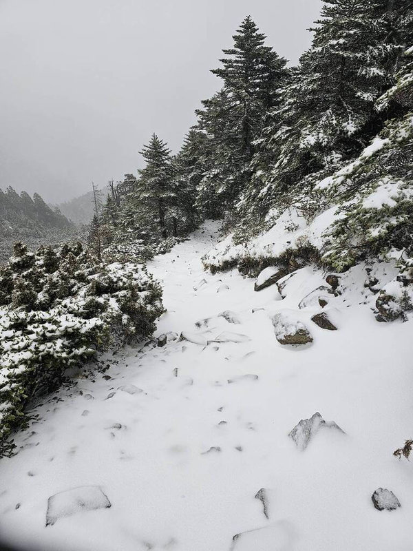 雪霸國家公園管理處指出，冷氣團影響加上水氣充足，15日上午11時20分許在雪山主東線4.5公里至5公里處，氣溫降至攝氏零下1度，並再次飄下白雪，步道上出現數公分厚積雪。（雪霸國家公園管理處提供）中央社記者管瑞平傳真  114年1月15日