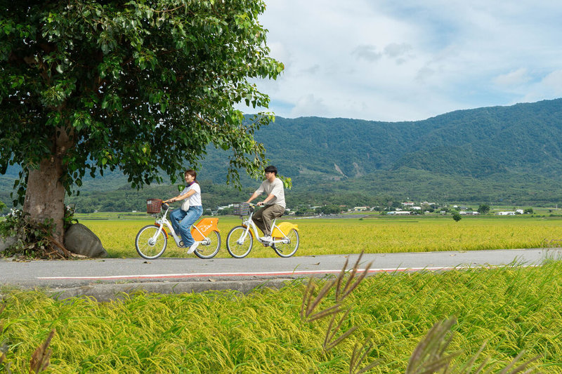 中國文化和旅遊部宣布將於近期恢復福建、上海居民赴台團體旅遊，台東縣長饒慶鈴17日對此表示，將推出深度遊程，引領遊客感受台東自然、人文、美食及傳統多元之美。圖為台東知名景點伯朗大道。（台東縣政府提供）中央社記者張祈傳真  114年1月17日