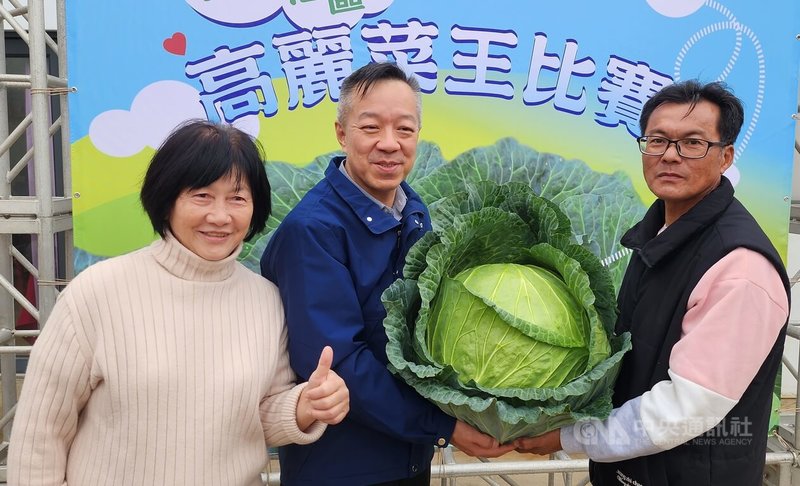 澎湖馬公烏崁社區「新高麗菜王比賽」19日登場,澎湖縣警察局長林温柔(中)也到場。中央社 114年1月19日