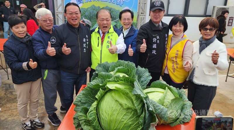 澎湖馬公烏崁社區「新高麗菜王比賽」19日登場,澎湖縣長陳光復(前左4)、馬公市長黃健忠(前左3)、國民黨澎湖縣議員許國政(前右3)等人合影。中央社 114年1月19日