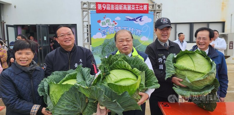 澎湖馬公烏崁社區「新高麗菜王比賽」19日登場,澎湖縣長陳光復(前中)、馬公市長黃健忠(前左2)、國民黨澎湖縣議員許國政(前右2)等人出席。中央社 114年1月19日