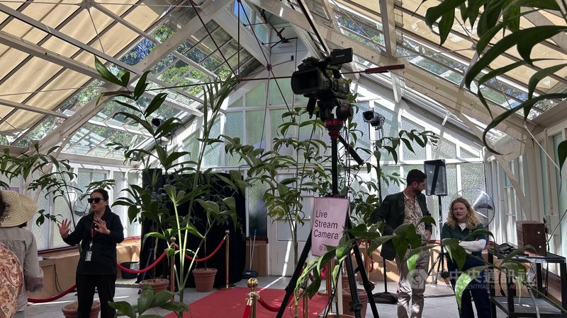 雪梨皇家植物園24小時網路直播「屍花」(corpse flower)現況,吸引上千網友守候期待,成為目前雪梨最熱門的網紅植物。中央社記者楊淳卉雪梨攝 114年1月20日