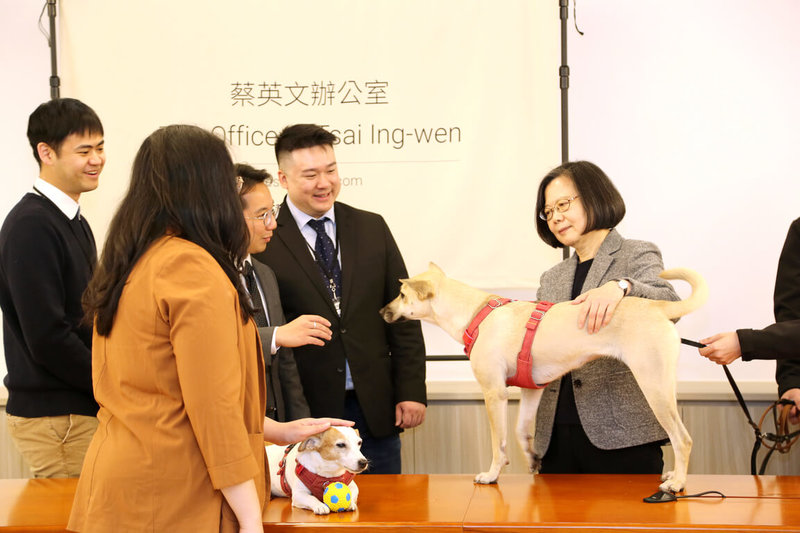 前總統蔡英文21日與一群來自哈佛大學、麻省理工學院的學生對話交流,蔡英文愛犬「樂樂」、「鳳梨」也現身。(蔡英文辦公室提供)中央社記者葉素萍傳真 114年1月21日
