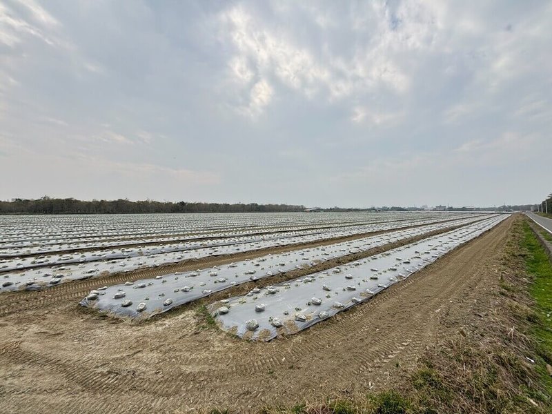 位於高雄市岡山區及橋頭區交界處的白埔產業園區預定地是白埔農場，緊鄰台1線，土地主要是台糖公司權管；經協調評估後，高雄市政府決議自行開發，由經發局進行，目前已完成環評初審，並進行整體園區報編程序。（邱志偉辦公室提供）中央社記者蔡孟妤傳真  114年1月22日