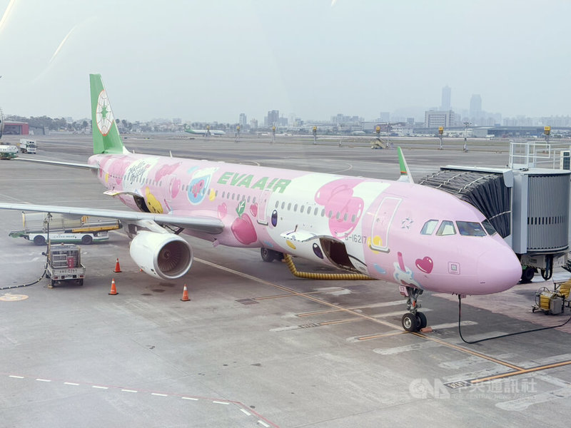 長榮航空Hello Kitty彩繪機「粉萌機」22日首航高雄-香港航線,彩繪機一在高雄國際機場亮相,就吸引不少粉絲搶拍。中央社記者林巧璉攝 114年1月22日