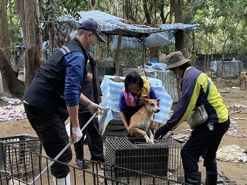 台南哈赫拿爾森林開放後，有流浪犬出沒嚇壞遊客，台南市動保處1月已移置39隻流浪犬。（台南市動保處提供）中央社記者張榮祥台南傳真 114年1月24日