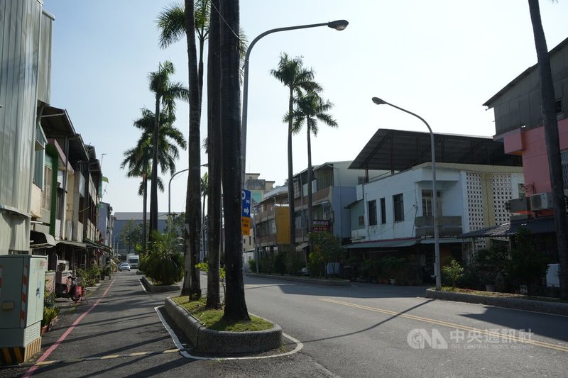 屏菸1936文化基地入口菸廠路沿街將設人行道，現有分隔道也會重新規劃，砍除椰子樹並改種植熱帶植物，打造相關意象分隔島，年後開工、預計工期約4個月。中央社記者黃郁菁攝  114年1月24日