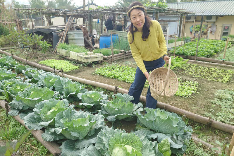 台南市龍崎區為南台灣著名泥岩地質區，龍興社區結合自然生態，發展深度農村旅遊，社區發展協會總幹事陳靜儀表示，遊客可到配合住戶菜園體驗友善耕作方式種菜及採收。中央社記者楊思瑞攝  114年1月25日