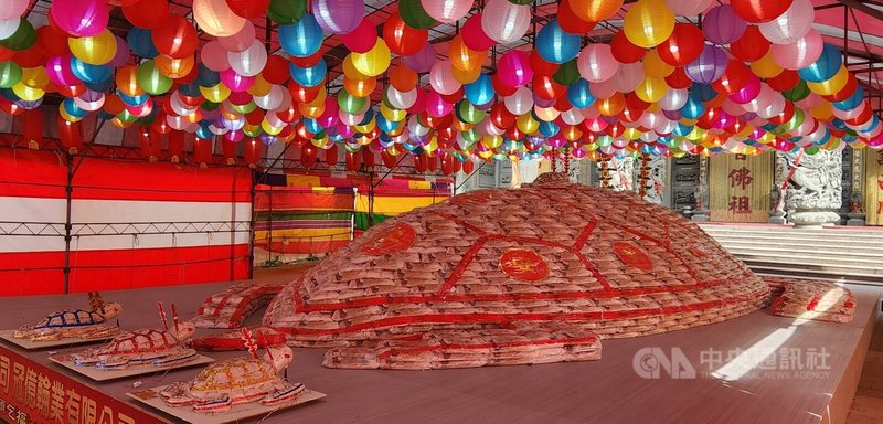 澎湖元宵「乞龜」活動,龍門觀音宮27日有重達4萬7000斤的米包龜亮相,還背上100斤小米包龜和3隻尾隨的小龜,象徵一代傳一代,市值逾新台幣200萬元。中央社 114年1月27日