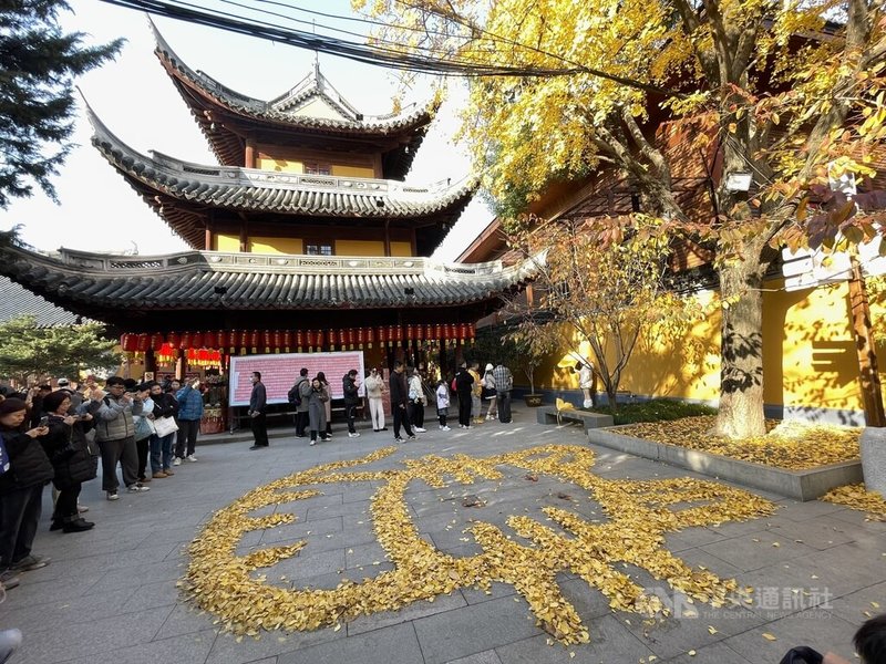 上海龍華寺的清潔人員發揮創意，將銀杏落葉排列成巨大貓咪圖形，吸引民眾圍觀拍照。圖為113年12月15日的上海龍華寺。中央社記者廖文綺上海攝 114年1月29日