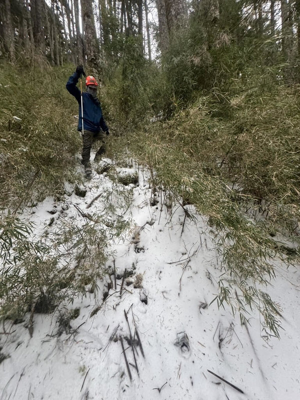 一行5名山友日前從鎮西堡登山口出發，行經南馬洋山往中霸山屋間時，其中1名女性山友因腳程跟不上失聯，搜救人員獲報於28日展開山區搜索，雖發現失聯者物品但未見人影，現場溫度極低，初判失聯者狀況不樂觀，30日仍持續搜救中。（新竹縣消防局提供）中央社記者郭宣彣傳真  114年1月30日