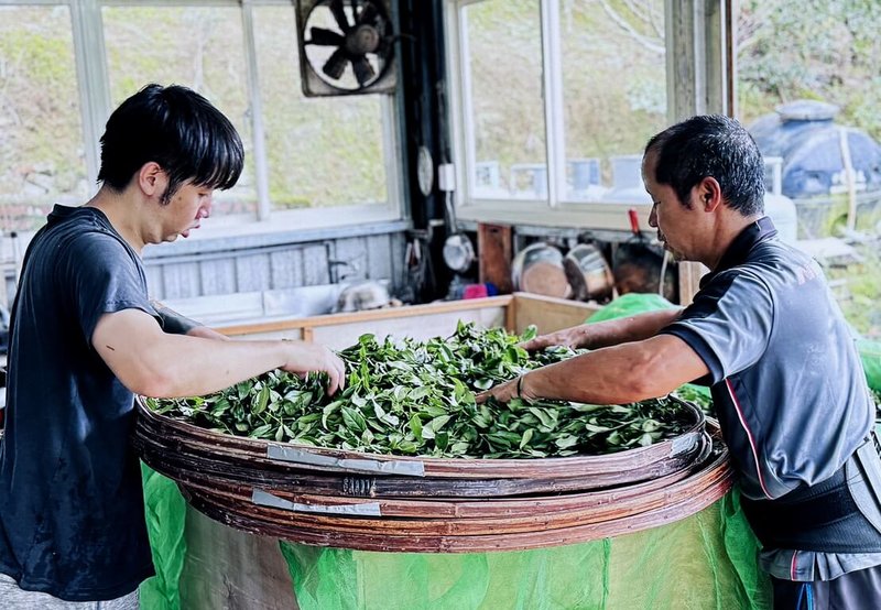 新北市坪林區青農鐘御瑋(左)返鄉經營茶園,也以智慧農業技術管理茶園,獲得113年包種茶比賽會特等獎。(鐘御瑋提供)中央社記者黃旭昇傳真 114年1月31日
