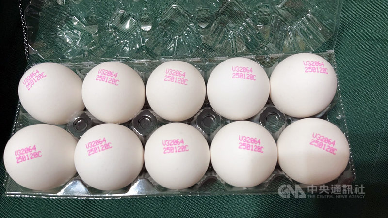 農業部官網顯示,最新一次國產雞蛋日產量為12.75萬箱(每箱200顆),已供過於求。中華民國養雞協會指出,3到5月產能會再衝高,正在討論銷毀100萬顆種蛋因應,從源頭減產。中央社記者楊淑閔攝 114年2月5日