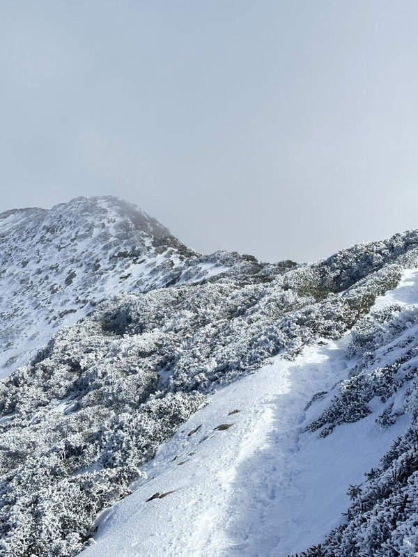 冷氣團、寒流接連來襲,雪霸國家公園管理處5日表示,根據山友回報最新雪況,雪山主峰積雪約達20公分,雪山圈谷植物都有結冰現象,即使有陽光,無日照之處還是非常寒冷。(山友張雯鈞提供)中央社記者管瑞平傳真 114年2月5日