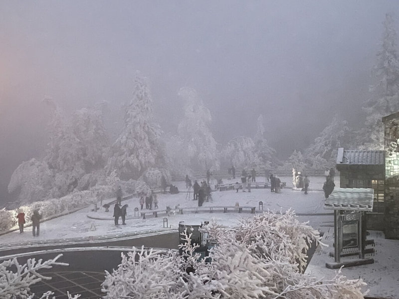 寒流來襲，9日太平山國家森林遊樂區山頭結滿霧淞，加上8日下雪未融化，園區呈現一片銀色世界。（農業部林業及自然保育署宜蘭分署提供）中央社記者王朝鈺傳真  114年2月9日