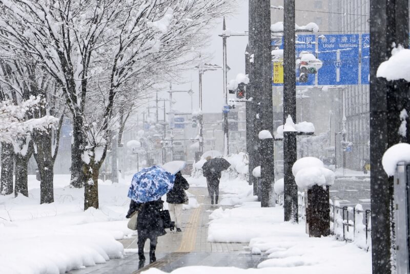 圖為日本富山市5日大雪紛飛景象。（共同社）