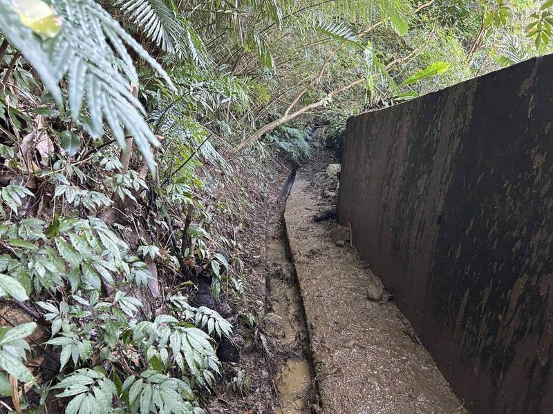 環保公司15日清理基隆市南榮路463巷後方山坡排水溝（圖）時，驚見人體骸骨，經持續挖掘，大致拼湊出一具遺體，口袋內有82歲許姓男子身分證，經相驗後，初步排除他殺，警方已採集親屬DNA送驗。（讀者提供）中央社記者王朝鈺傳真 114年2月18日