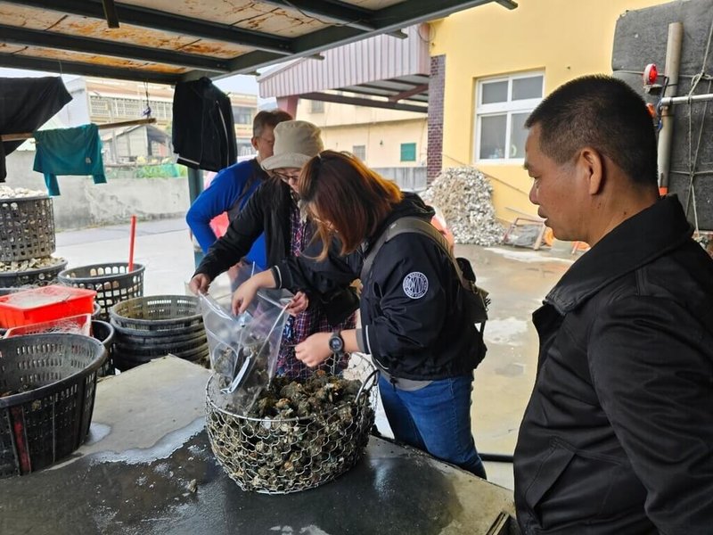 進口牡蠣混充國產議題受關注，農業部漁業署表示，行政院食品安全辦公室召集跨部會稽查，112年12月至114年1月採樣73件，產地鑑定7件為境外牡蠣，均移送檢調偵辦，已偵結的2件各罰新台幣20萬及10萬元，另外5件持續偵辦中。（漁業署提供）中央社記者楊淑閔傳真  114年2月18日