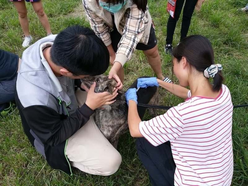 花蓮縣政府農業處20日表示，今年上半年度寵物登記、絕育、狂犬病預防注射的「幸福犬貓三合一絕育」活動開跑。圖為往年活動情形。（花蓮縣農業處提供）中央社記者李先鳳傳真  114年2月20日