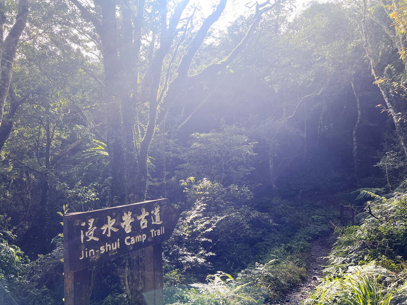 浸水營國家步道東段-加羅坂出入口113年受颱風影響，道路嚴重受損無法通行，經7個月修復，完成崩塌步道整修及倒木清理，2月28日全線恢復開放通行。（林業及自然保育署台東分署提供）中央社記者李先鳳傳真 114年2月25日