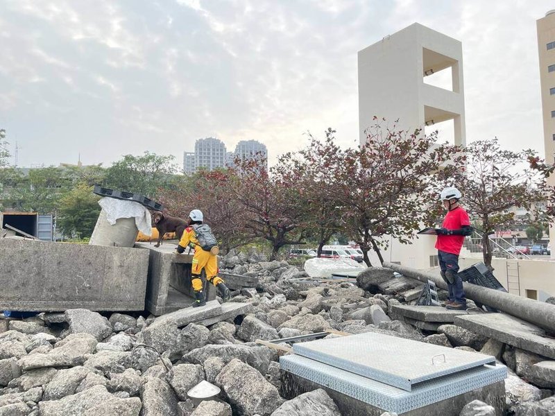 高雄市政府消防局參與搜救犬領犬員進階訓練及國際搜救犬認證評測，6組警義消領犬員及搜救犬全數通過，取得4隻中級和2隻初級認證佳績。（高市消防局提供）中央社記者洪學廣傳真  114年2月25日