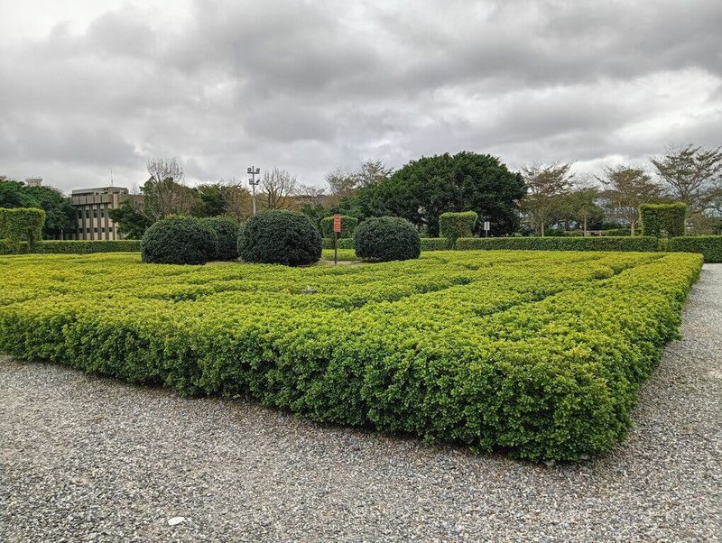 台北市公園處27日表示，藏身在花博公園新生園區的迷宮花園，設計來自於陰陽五行的概念，大迷宮內有5個小迷宮，且以綠籬灌木間隔出不同高度，打造出成人版及幼童版迷宮，民眾可趁228連假期間帶小朋友前往遊憩，還能近距離賞花。（台北市公園處提供）中央社記者劉建邦傳真  114年2月27日