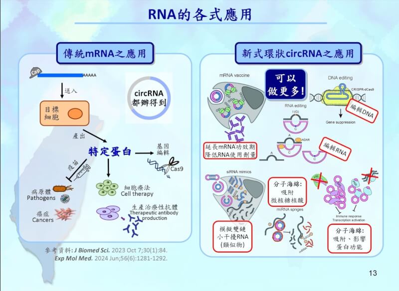 國衛院學者首創運用RNA（核糖核酸）自帶酵素活性的特性，研發新式環狀RNA合成法。（國衛院提供）