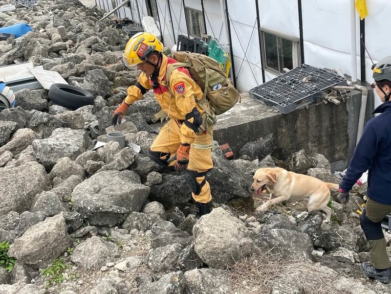 台北市消防局1日表示，7名領犬員及7隻搜救犬參加搜救犬IRO（國際搜救犬組織）評量檢測，全數通過，並分別取得瓦礫搜索初級及高級認證。圖為北市領犬員及搜救犬參與檢測畫面。（消防局提供）中央社記者劉建邦傳真  114年3月1日