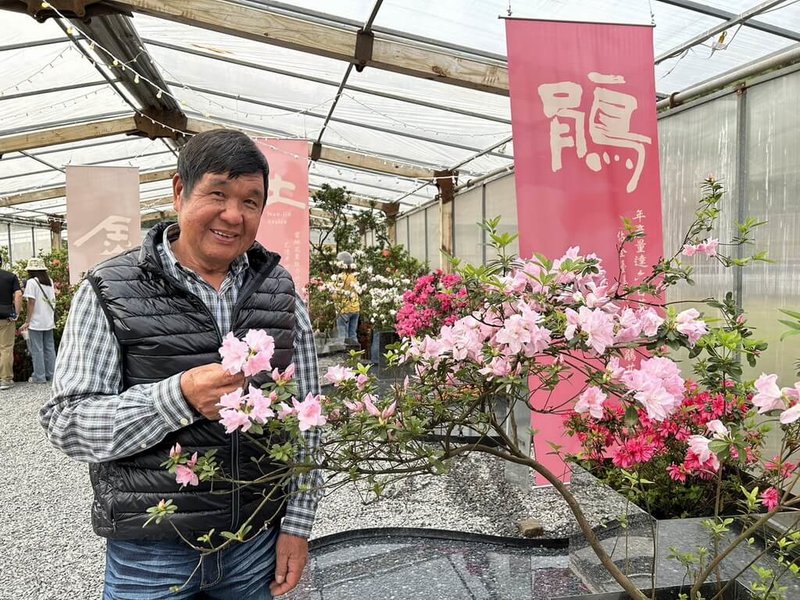 2025新北市萬金杜鵑花展熱鬧登場,在金山展區特別打造期間限定的杜鵑美術館,展出22種特殊品種杜鵑,包含由「杜鵑博士」、花農柳枝芳(圖)自行育成的特殊品種杜鵑。(新北市農業局提供)中央社記者黃旭昇新北市傳真 114年3月1日