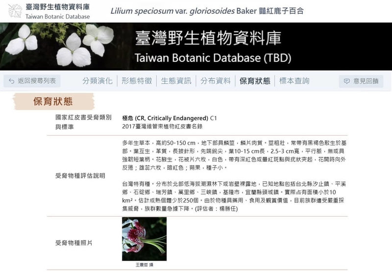 農業部生物多樣性研究所3日表示，台灣野生植物資料庫全新改版上線，可提供研究人員、生態保育工作者及自然愛好者快速檢索所需物種資訊。（農業部生物多樣性研究所提供）中央社記者楊淑閔傳真  114年3月3日