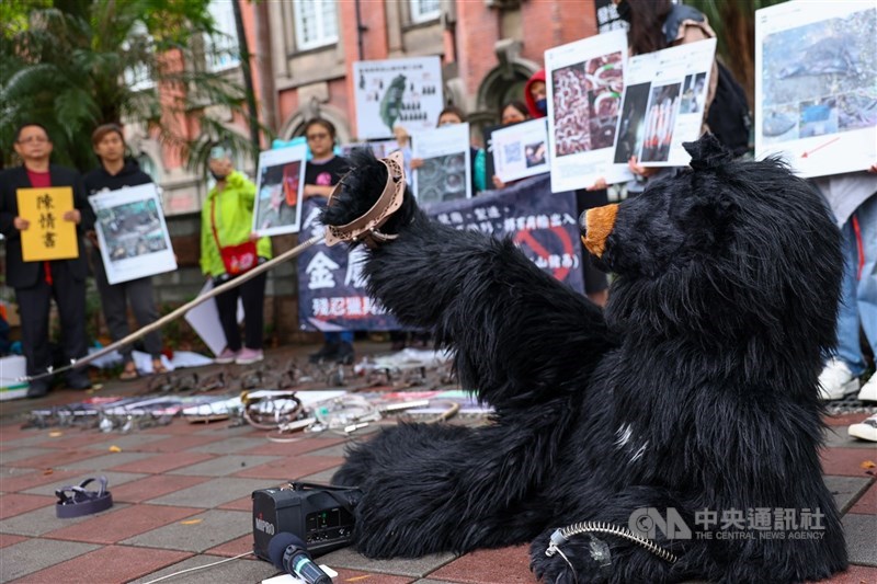 保育意識抬頭，台灣動物共生聯盟發言人潘翰疆質疑，中選會凌駕大法官釋憲文803號意旨，擴張解釋曲解原住民基本法而駁回「源頭禁止山豬吊」公投，5日提起行政訴訟。（中央社檔案照片）