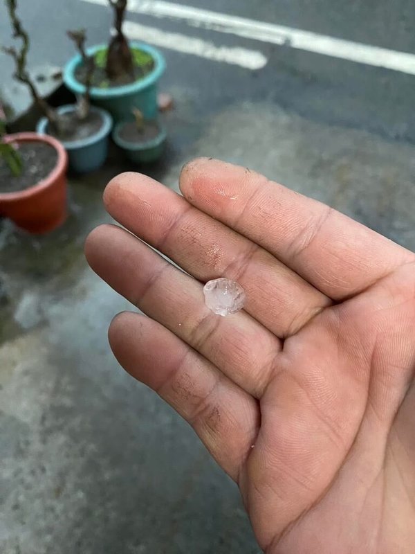 台中市4日下午有多區降雨且伴隨冰雹,其中清水區高美里也下起冰雹,里長洪瑞晟受訪表示,冰雹掉落約持續3、4分鐘,不少人拿出手機搶拍留念。(洪瑞晟提供)中央社記者蘇木春傳真 114年3月4日