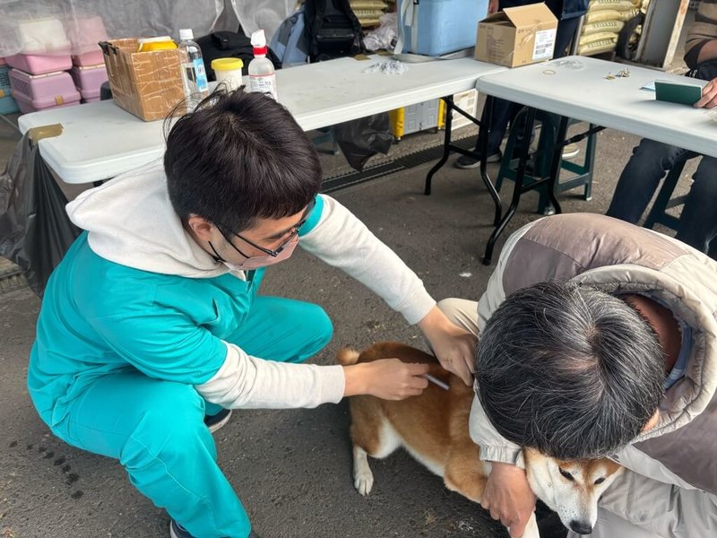 高雄市農業局114年送驗2隻鼬獾屍體驗出狂犬病陽性，農業局5日表示，已加強發現鼬獾區域附近飼養犬貓注射狂犬病疫苗。（高雄市農業局提供）中央社記者蔡孟妤傳真  114年3月5日