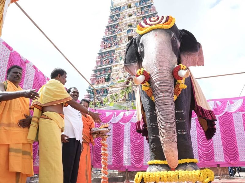 在印度的善待動物組織(PETA India)推廣下,印度部分寺廟不再使用真的大象,而是在宗教儀式改用機器象。(PETA India提供)中央社記者李晉緯新德里傳真 114年3月5日