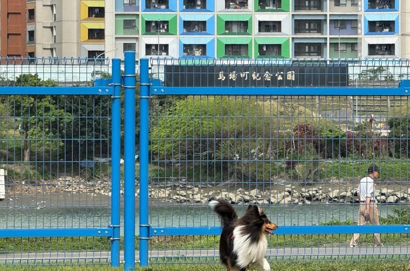 新北市政府高灘地工程管理處5日指出，綠寶石寵物公園近來已換上新圍籬且加高30公分，歡迎民眾安心帶毛寶貝來此放風，享受互動時光。（新北市高灘處提供）中央社記者王鴻國傳真  114年3月5日