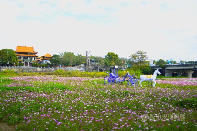 嘉義縣中埔鄉公所將於8日、9日在忠義橋八掌溪畔舉辦「春嬉風鈴賞花音樂會」，邀民眾到場同樂。中央社記者蔡智明攝  114年3月6日