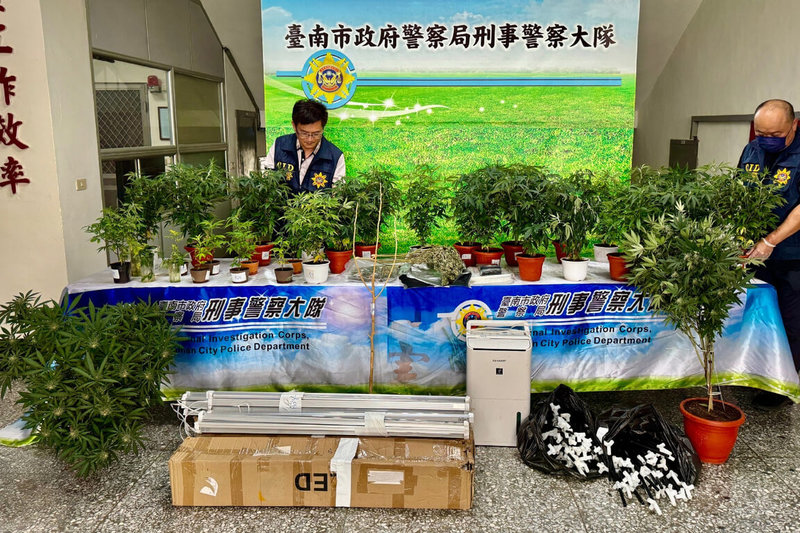 台南市刑警大隊10日宣布在嘉義查獲2男子涉租用豪宅種植大麻，起獲乾燥大麻葉等證物，扣案活株140株估可生產供8萬多人次吸食大麻。（台南市警察局提供）中央社記者楊思瑞台南傳真  114年3月10日