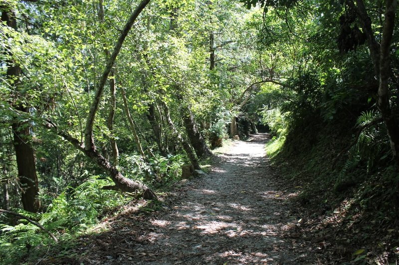 內政部國家公園署玉山國家公園管理處4月、5月在東部園區瓦拉米步道（圖）辦理免費導覽活動，包含身心療癒時光、創意手作體驗等。（玉山國家公園管理處提供）中央社記者蕭博陽南投縣傳真  114年3月12日